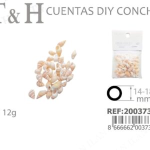 concha para Diy
