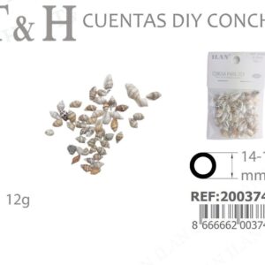 concha para Diy