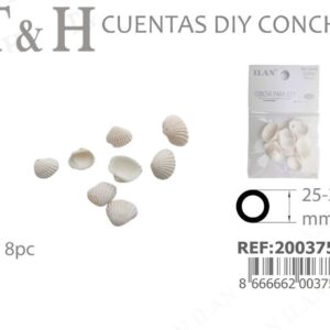 concha para Diy