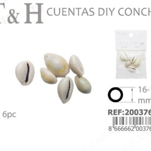 CUENTAS DIY DE CONCHA
