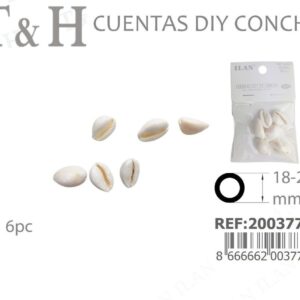 CUENTAS DIY DE CONCHA