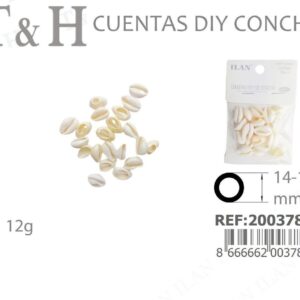 CUENTAS DIY DE CONCHA