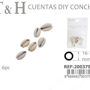 CUENTAS DIY DE CONCHA