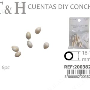 CUENTAS DIY DE CONCHA